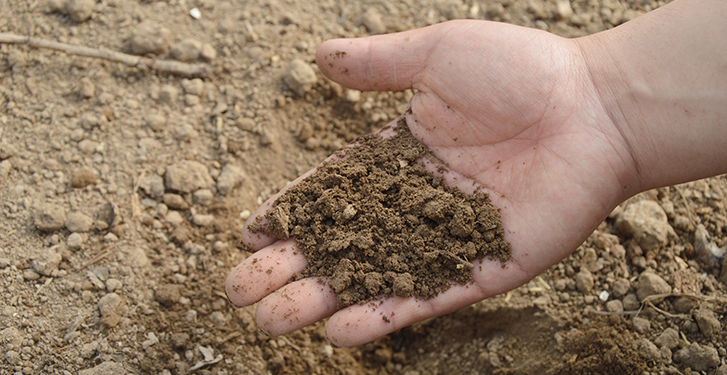 Rich in organic matter