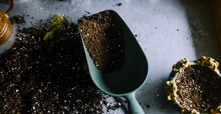 Multi-purpose topsoil