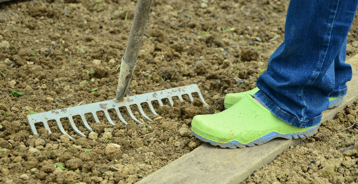 Planting & Landscaping