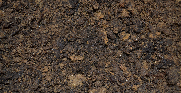 Peat free & Minimal stones